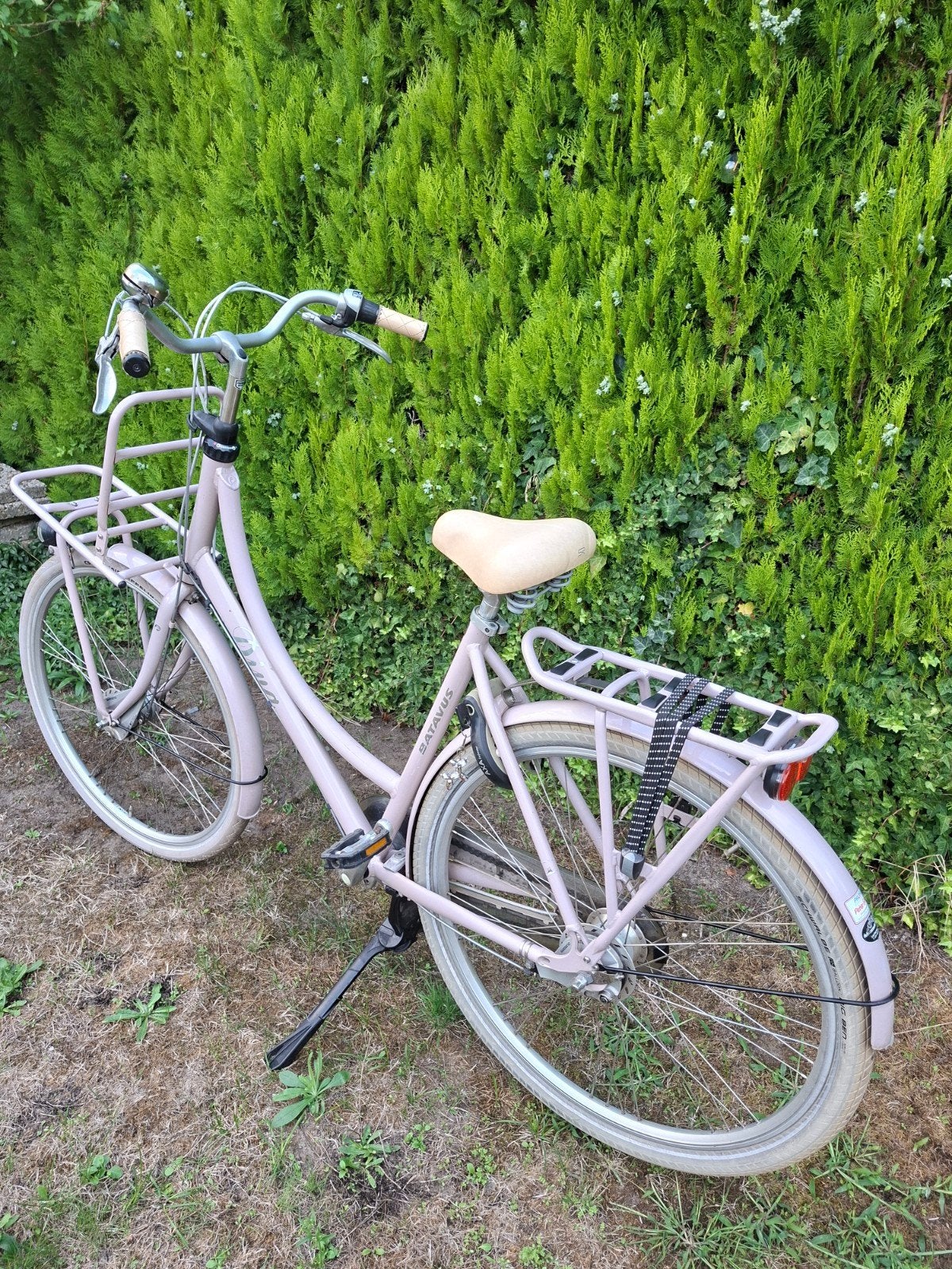 Batavus Diva damesfiets - Stijlvol en Comfortabel 54 cm, Ophalen, Versnellingen, Batavus, Trommelrem
