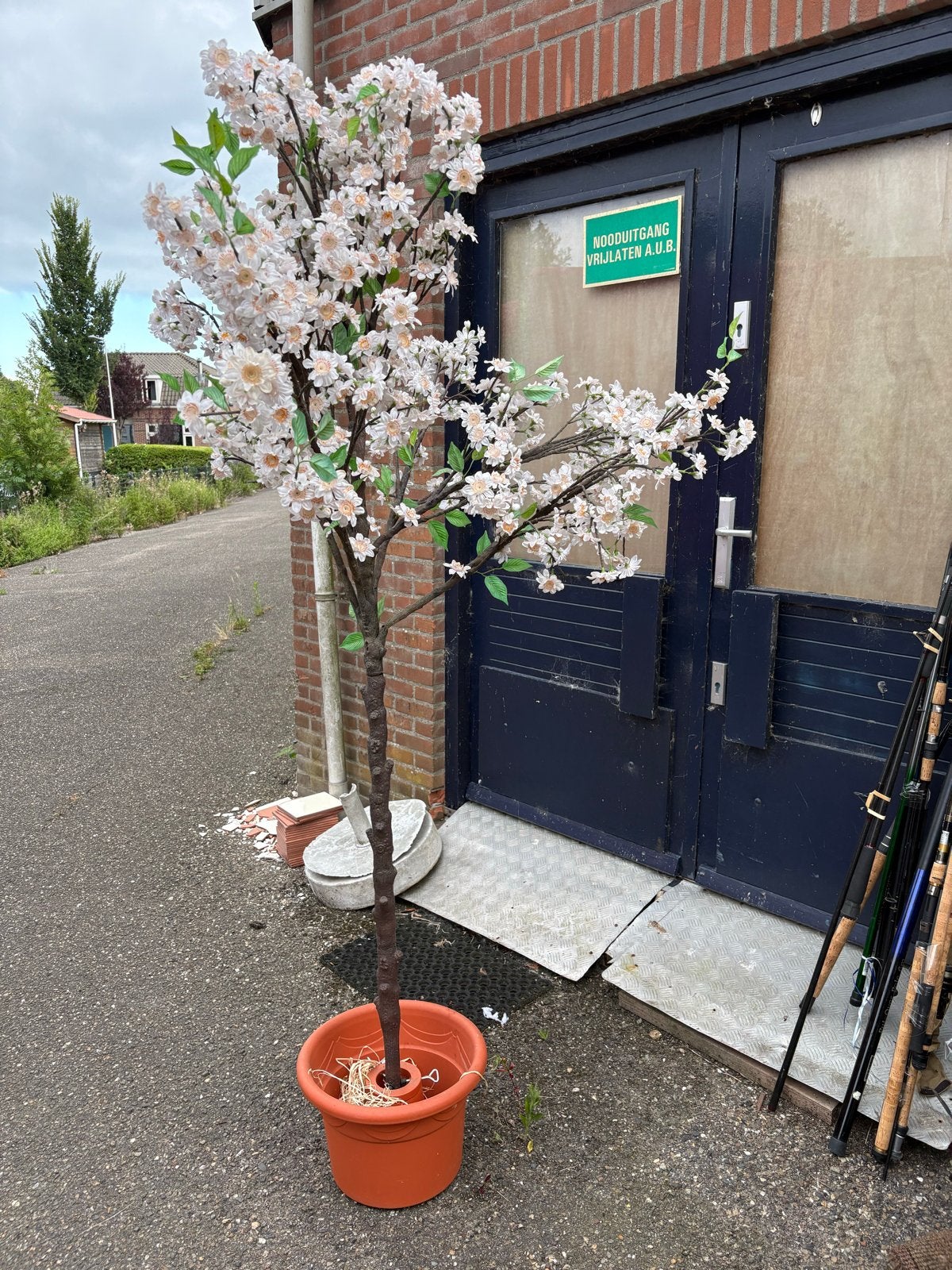 Kunstbloesem boom - Prachtige decoratie voor binnen, Ophalen, Binnen, Gebruikt, Wit