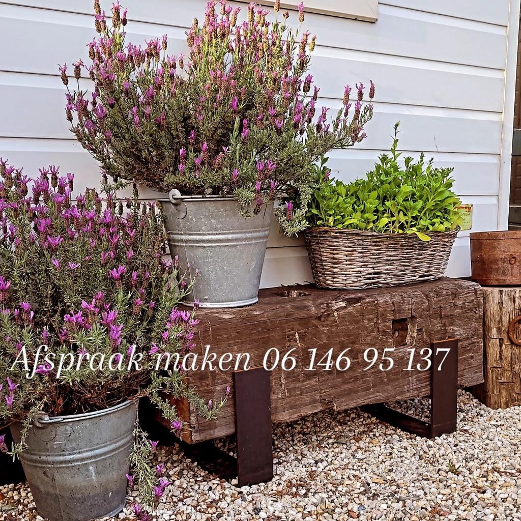 Grote voorraad Meerpalen voor tuin en terras, Ophalen, Nieuw