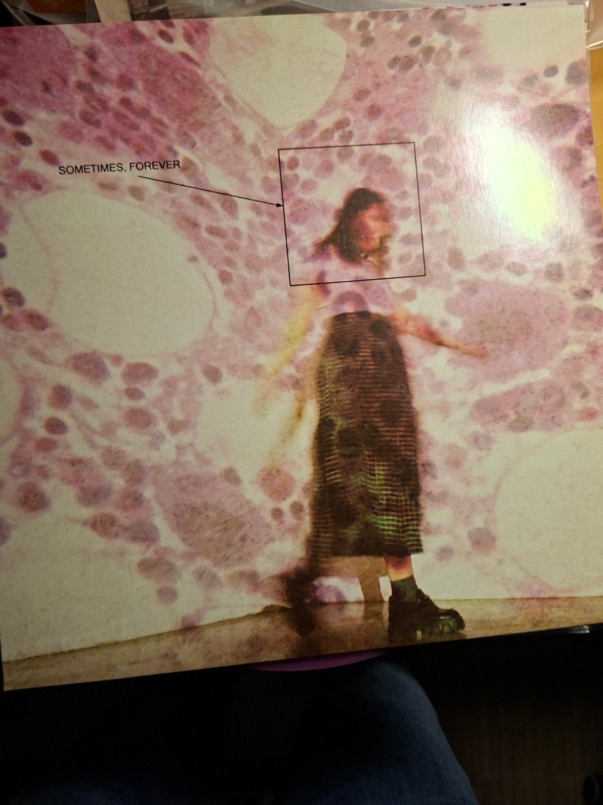 SOPHIE ALLISON - SOMETIMES, FOREVER LP, LP, Ophalen of Verzenden, Zo goed als nieuw, 12 inch