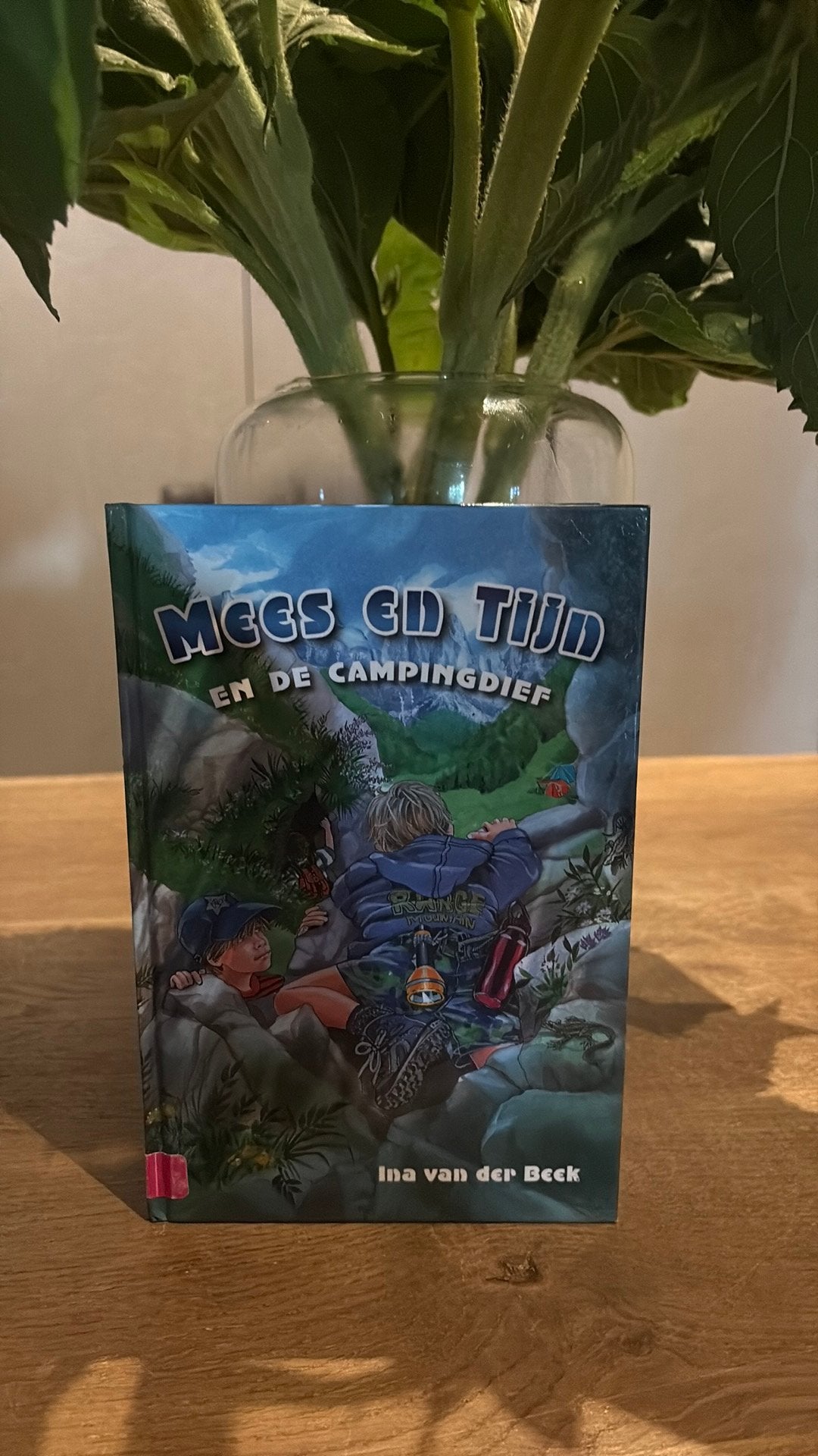 Ina van der Beek - Mees en Tijn en de campingdief, Boeken, Gelezen, Fictie algemeen, Ophalen of Verzenden, Ina van der Beek