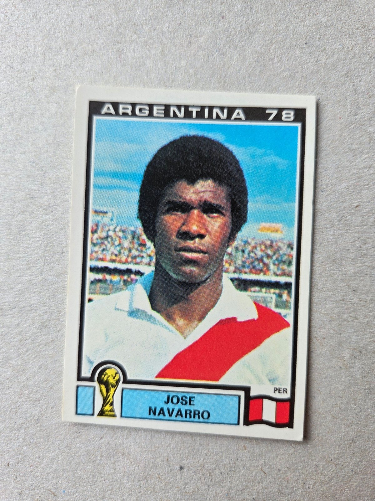 Panini WK 78, Ophalen of Verzenden, Zo goed als nieuw, Buitenlandse clubs, Poster, Plaatje of Sticker