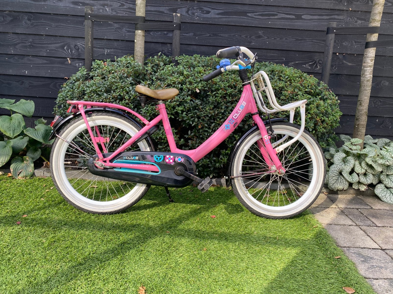 ALPINA CLUBB 20 inch meisjesfiets - Roze, Ophalen, Gebruikt, Terugtraprem, 20 inch of meer