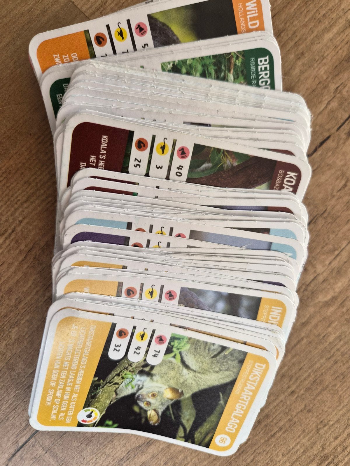 Complete set van wilde dieren kaarten AH, Ophalen of Verzenden, Gebruikt, Wild dier, Overige typen