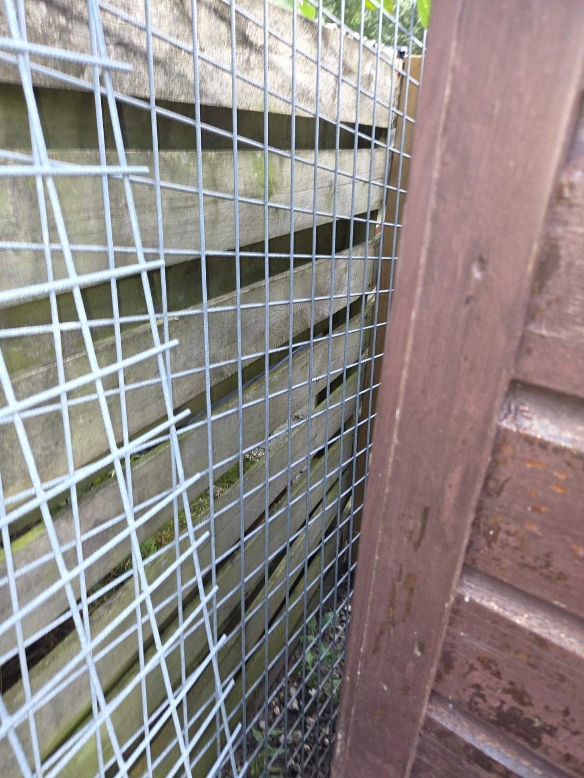 bouwstaalmatten verzinkt b 250 h 200, Ophalen of Verzenden, Minder dan 10 meter