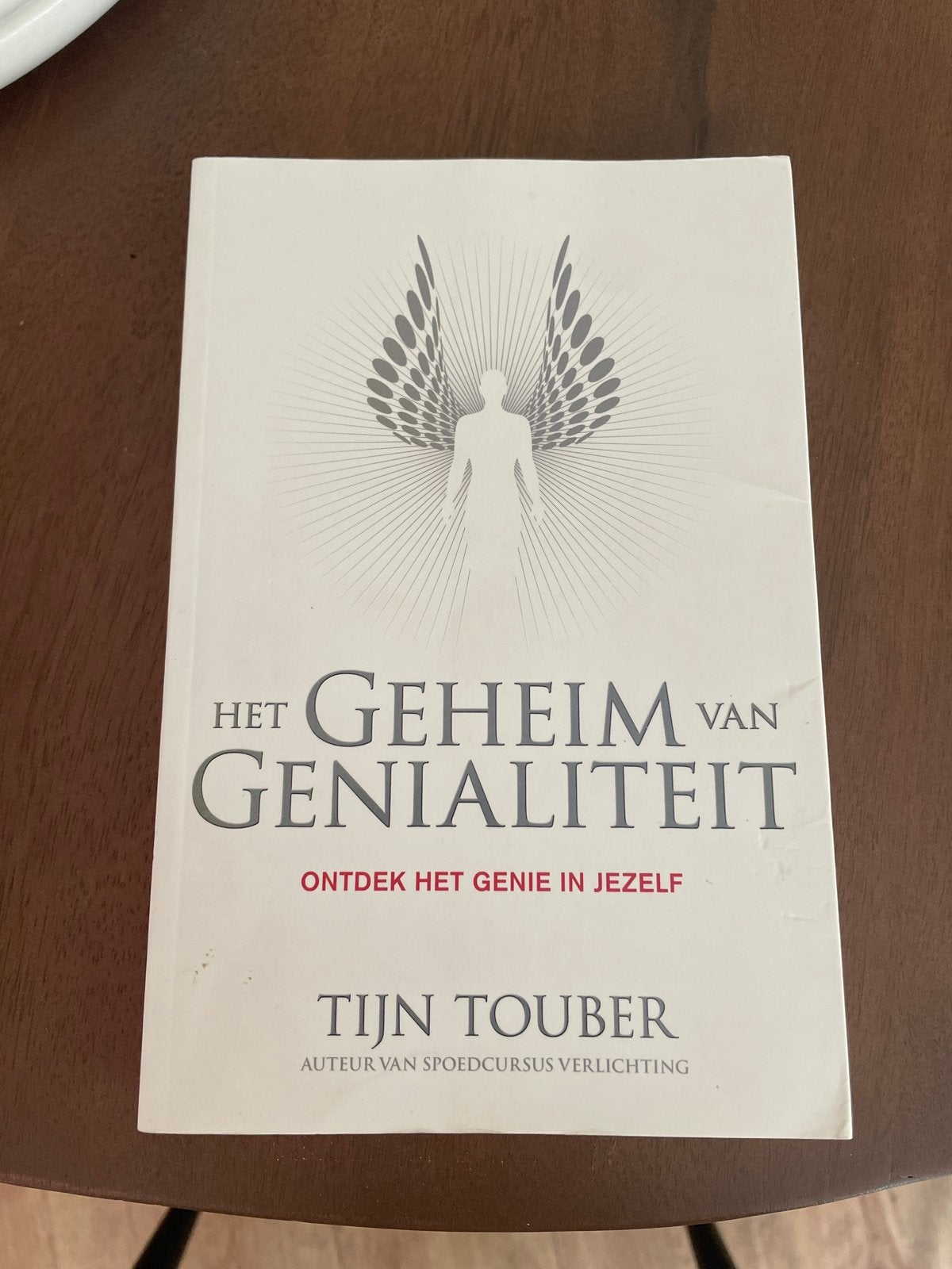 Tijn Touber - Het geheim van genialiteit, Boeken, Achtergrond en Informatie, Tijn Touber, Ophalen of Verzenden, Zo goed als nieuw