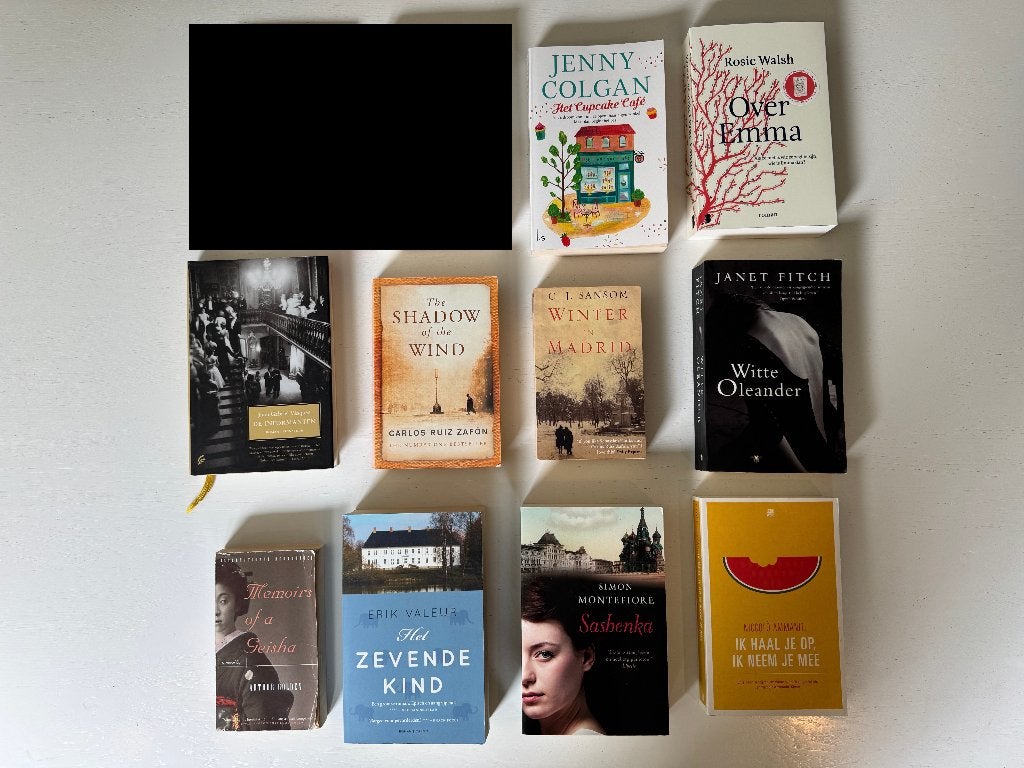 10x Internationale Bestsellers (samen EUR 15 of los), Boeken, Ophalen of Verzenden, Gelezen