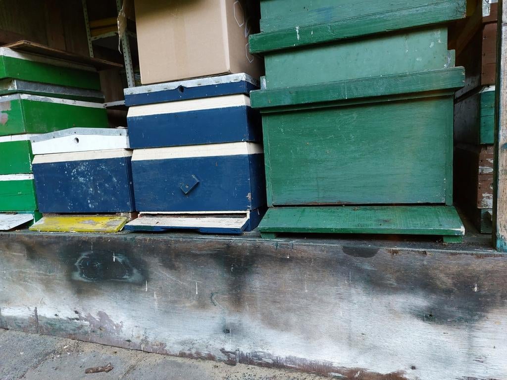 Bijenvolk inclusief bijenkast, Dieren en Toebehoren, Bijen