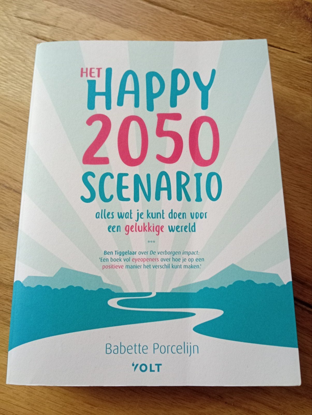 Het Happy 2050 Scenario - Babette Porcelijn, Babette Porcelijn, Ophalen of Verzenden, Zo goed als nieuw, Nederland