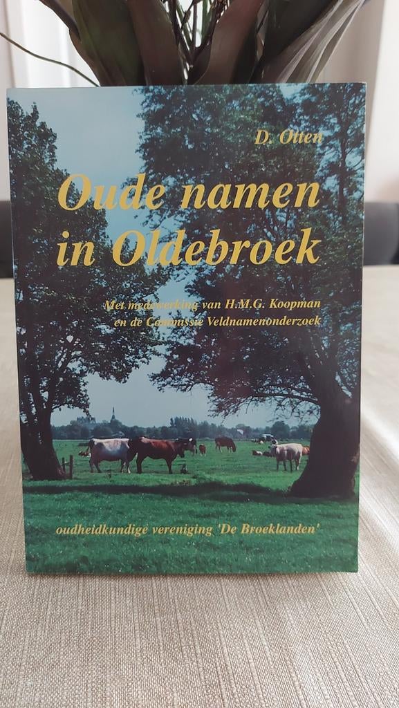Oude namen in Oldebroek - D. Otten (Streekgeschiedenis), Ophalen of Verzenden, Zo goed als nieuw, Overige onderwerpen, D. Otten
