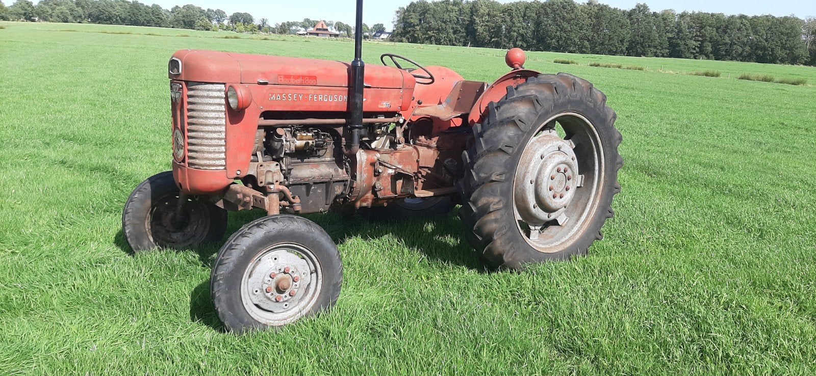 Massey Ferguson 65 mk1, 2500 tot 5000, Oldtimer, Ophalen of Verzenden, Tot 80 Pk