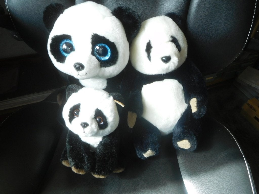 3 x pluche panda beer, Kinderen en Baby's, Ophalen of Verzenden, Zo goed als nieuw, Beer