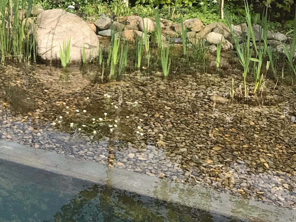 Gratis, 80 liter kiezel, Tuin en Terras, Ophalen, Overige materialen, Gebruikt, Grind