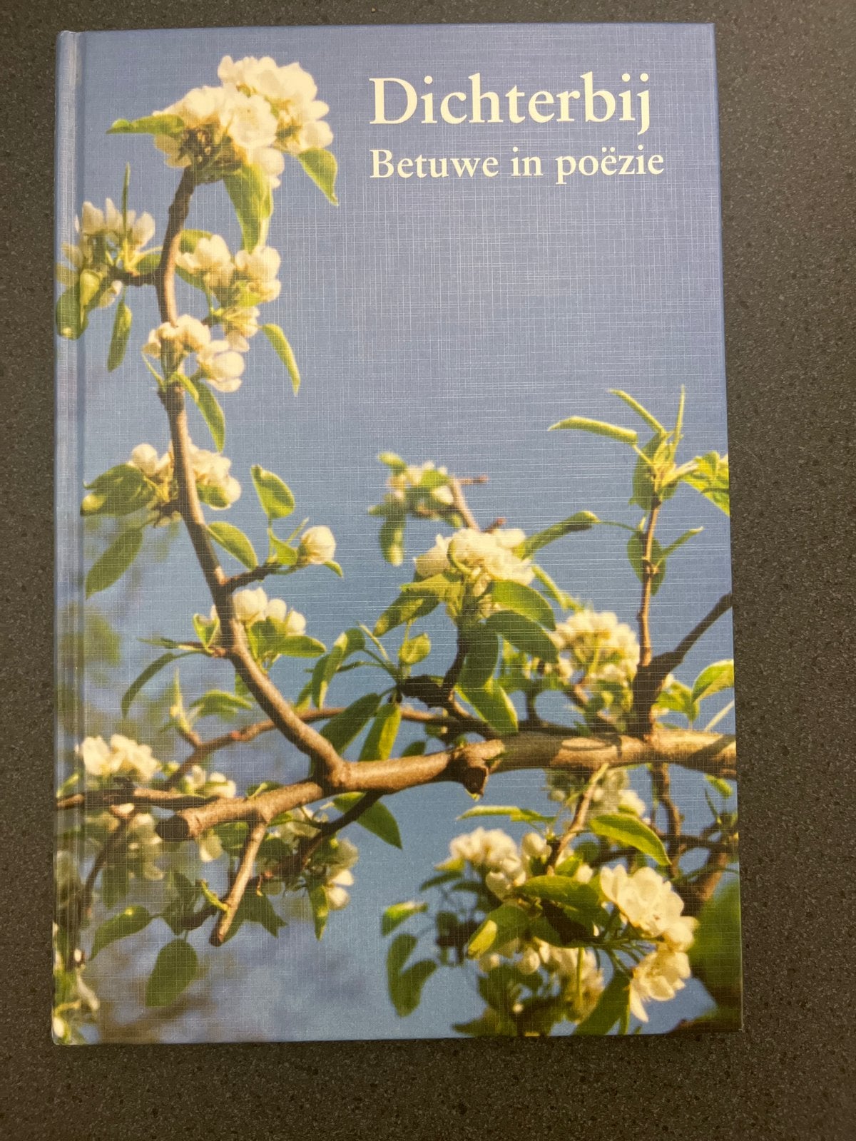 Dichterbij: Betuwe in poëzie - Poëziebundel, Ophalen of Verzenden, Zo goed als nieuw, Meerdere auteurs