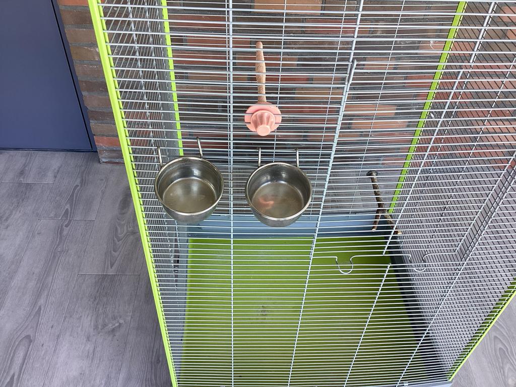 Ruime mooie vogelkooi, verrijdbaar, Ophalen, Gebruikt, Metaal, Vogelkooi