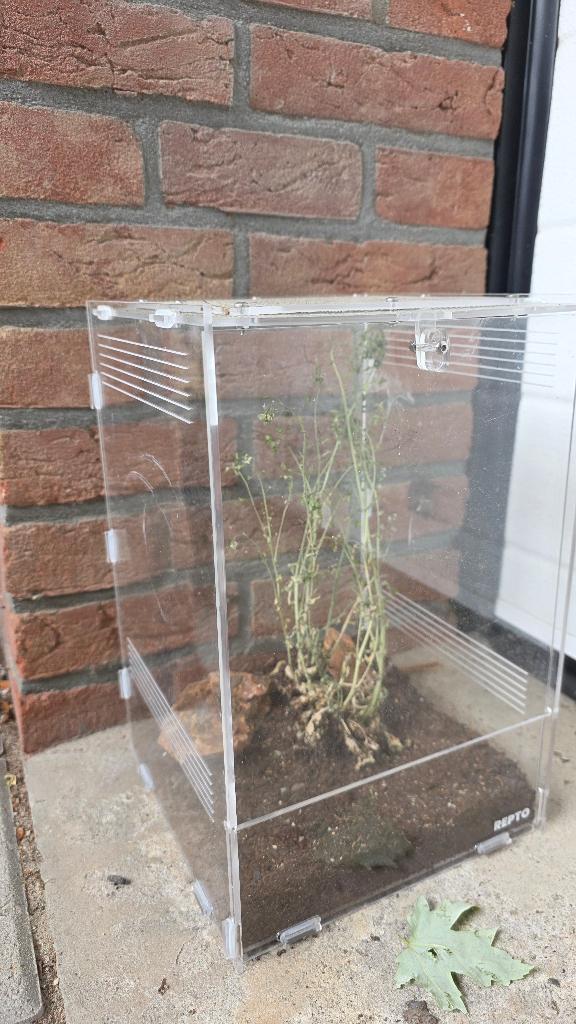 Repto  spin terrarium, Ophalen, Gebruikt, Terrarium of Paludarium