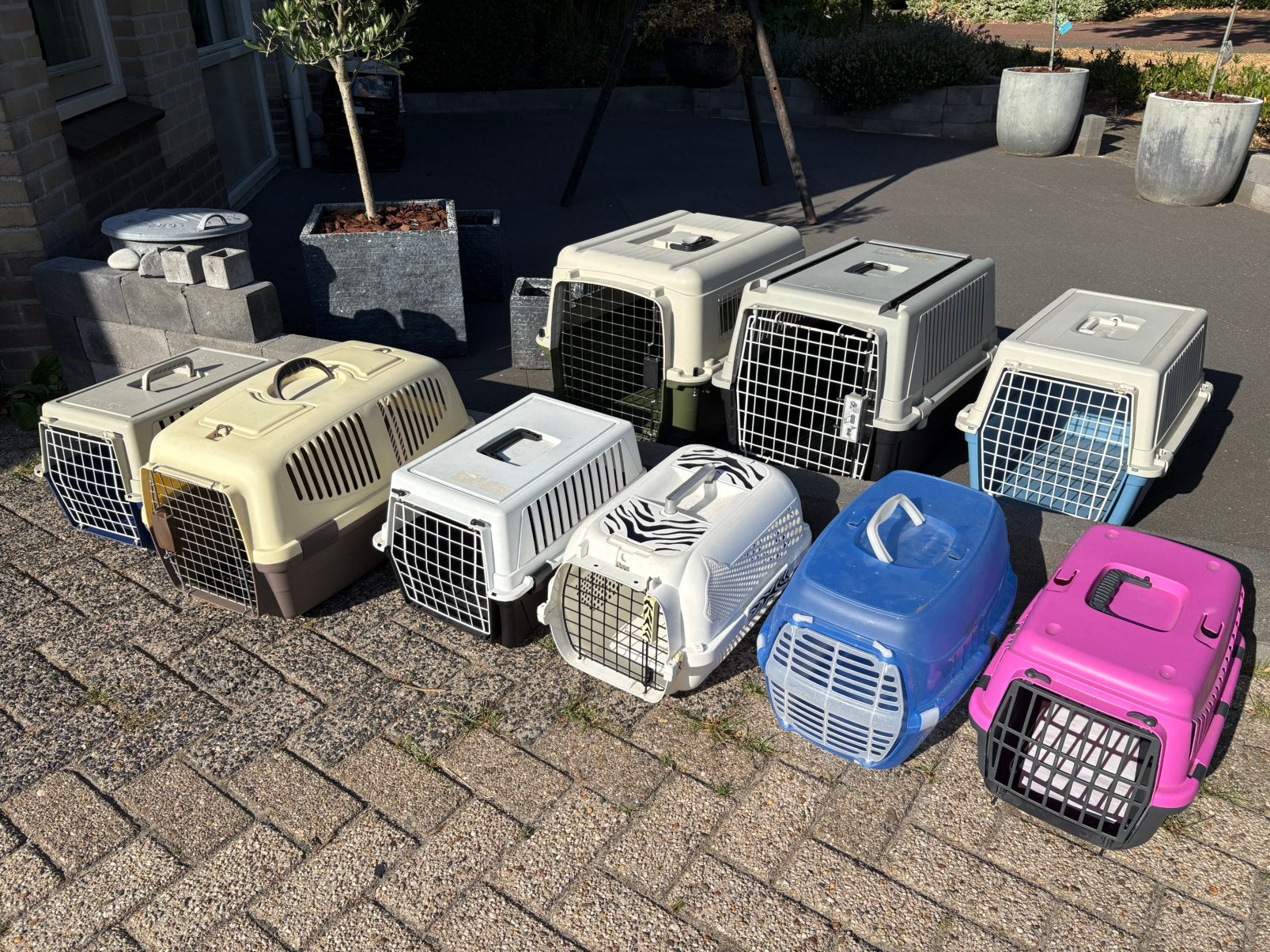 Transportboxen voor hond of kat, Ophalen, Gebruikt
