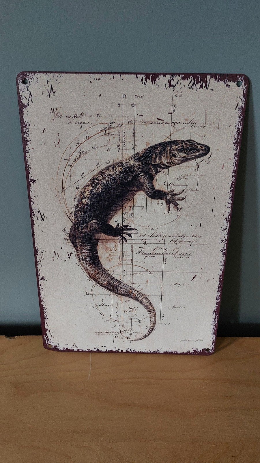 Decoratief bord met hagedis print - 20x30cm, Huis en Inrichting, Metaal, Ophalen of Verzenden, Met ophangsysteem, Meerkleurig