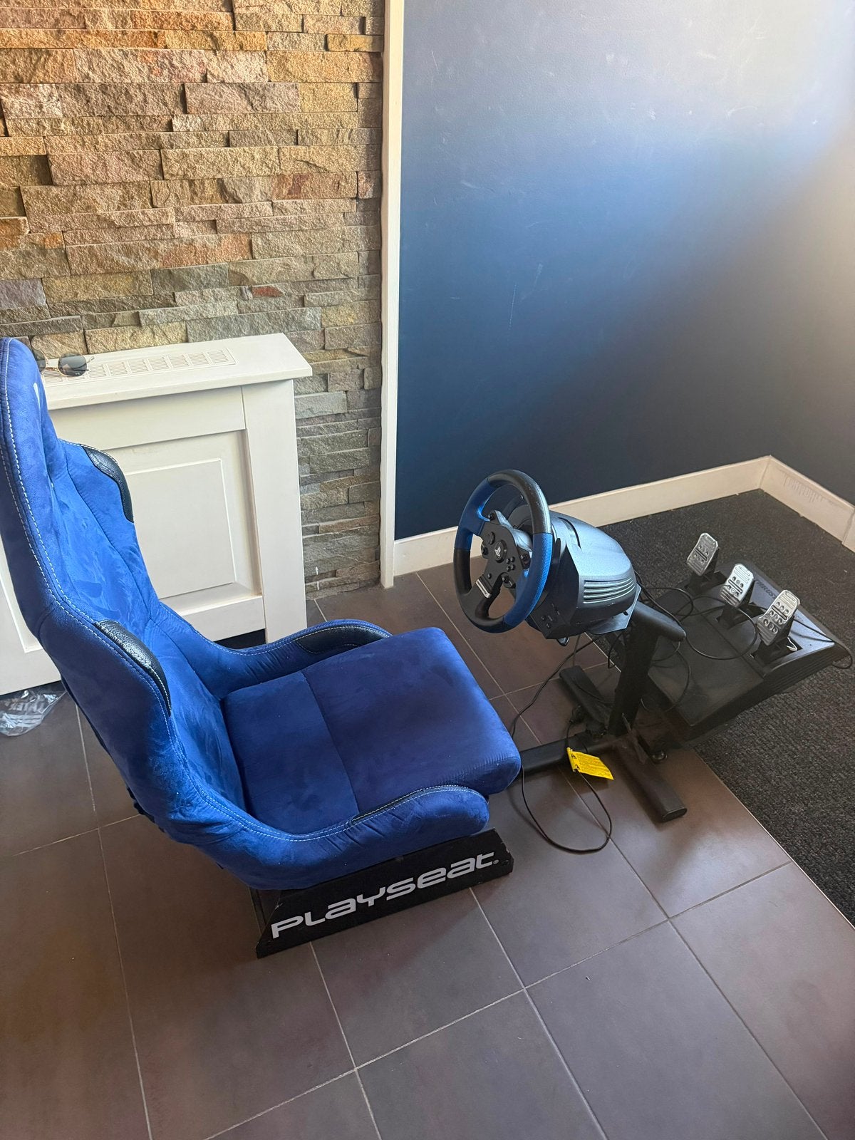 Playseat Evolution Limited Edition + Thrustmaster T150 RS, Ophalen, Gebruikt