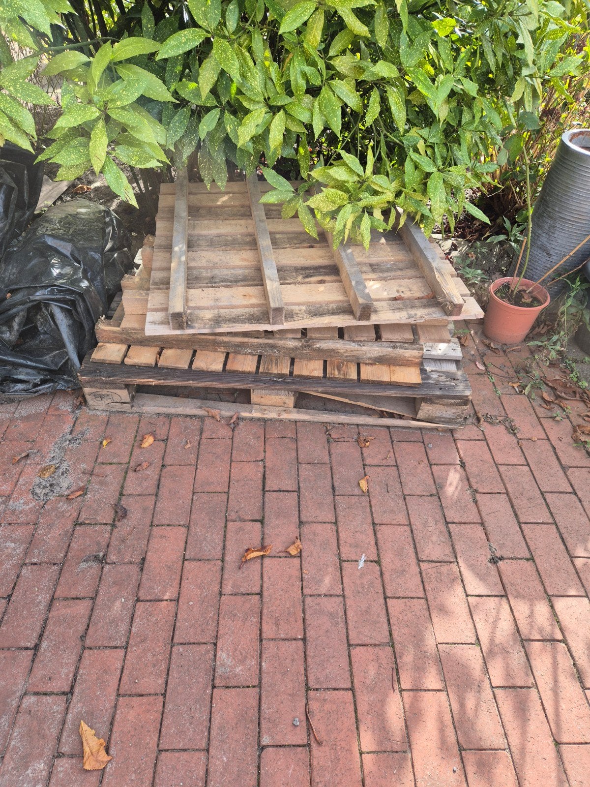 Gratis 4 pallets (waarvan 1 europallet), Ophalen, Gebruikt