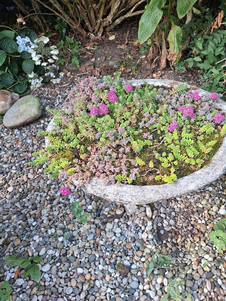 bloemenbak steen buiten vaste winter harde  planten, Tuin en Terras, Ophalen, Steen, Gebruikt, Rond