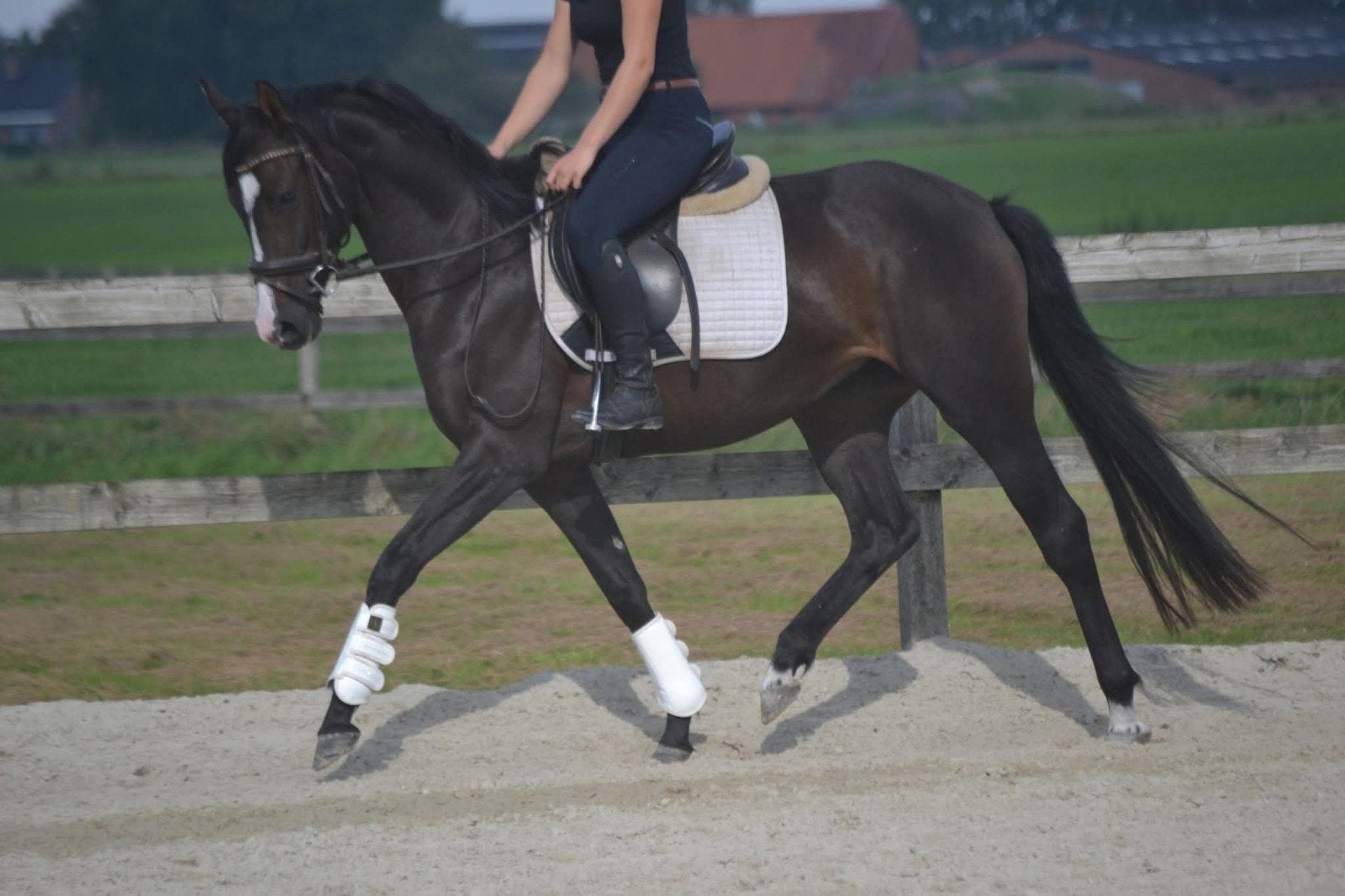 chique lieve merrie, Merrie, 3 tot 6 jaar