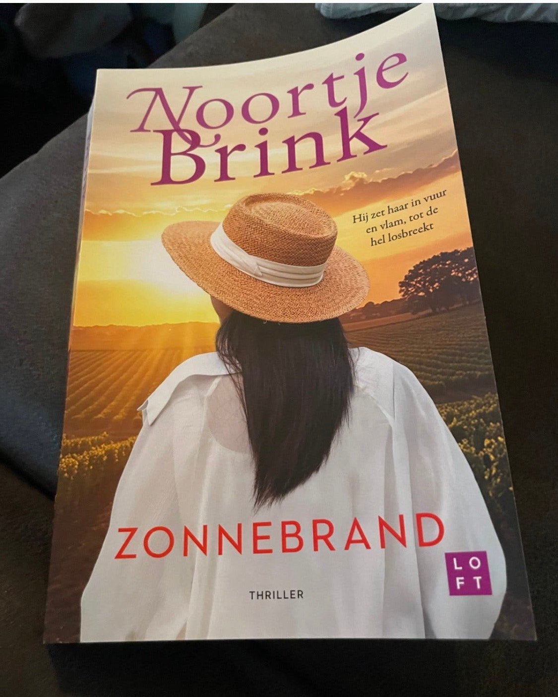 Noortje brink, Boeken, Ophalen, Gelezen