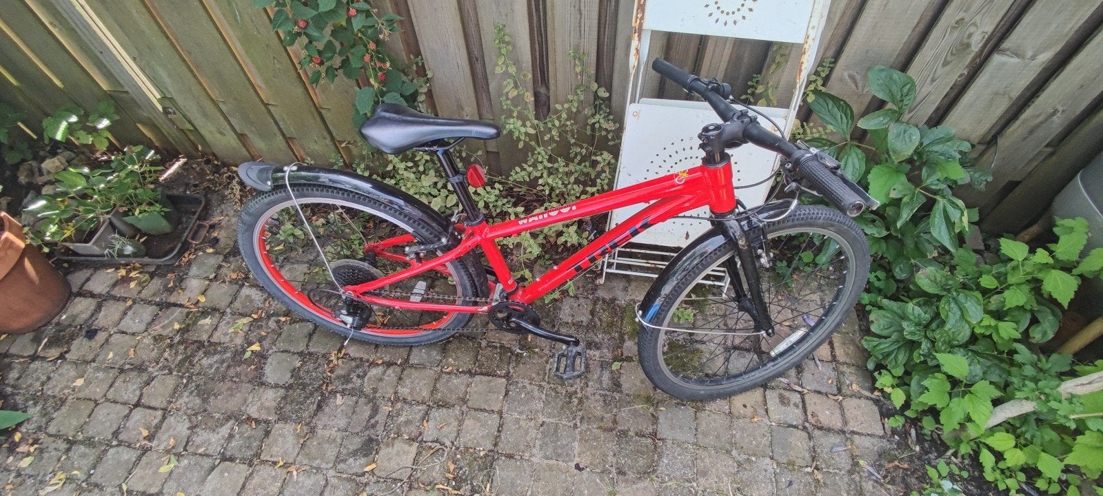 Lichtgewicht Trek Wahoo 24 inch kinderfiets (8 versnellingen, Ophalen