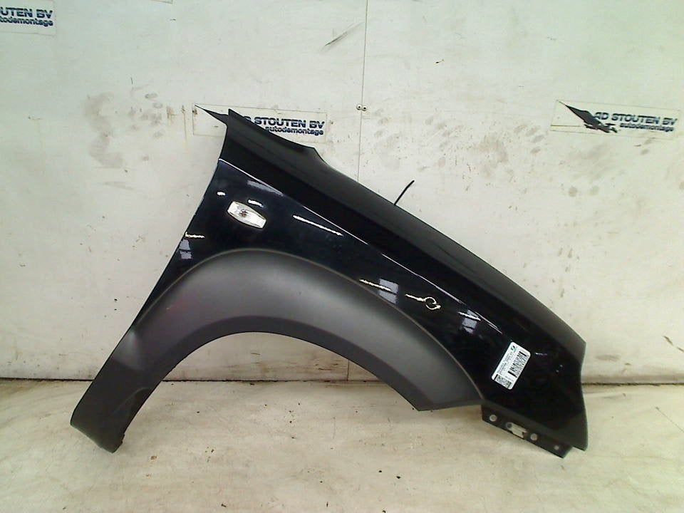 Spatbord Rechts Voor Hyundai Tucson (JM) (2004-08/2010-12), Hyundai Motor Deutschland GmbH, Gebruikt, Hyundai, Kaiserleipromenade 5, Offenbach am Main 63067, , Duitsland