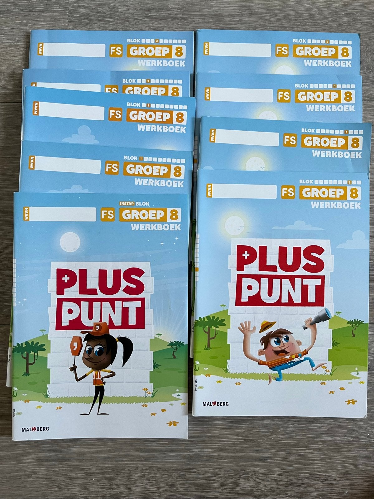 Pluspunt rekenen Groep8 FSWerkboeken (nieuw) - Complete Set, Ophalen of Verzenden, Nieuw, Overige niveaus, Overige vakken