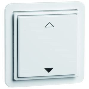 STANDARD wandz. Easyclick tbv rolluik 2-kanaals levend wit, Verzenden, Nieuw