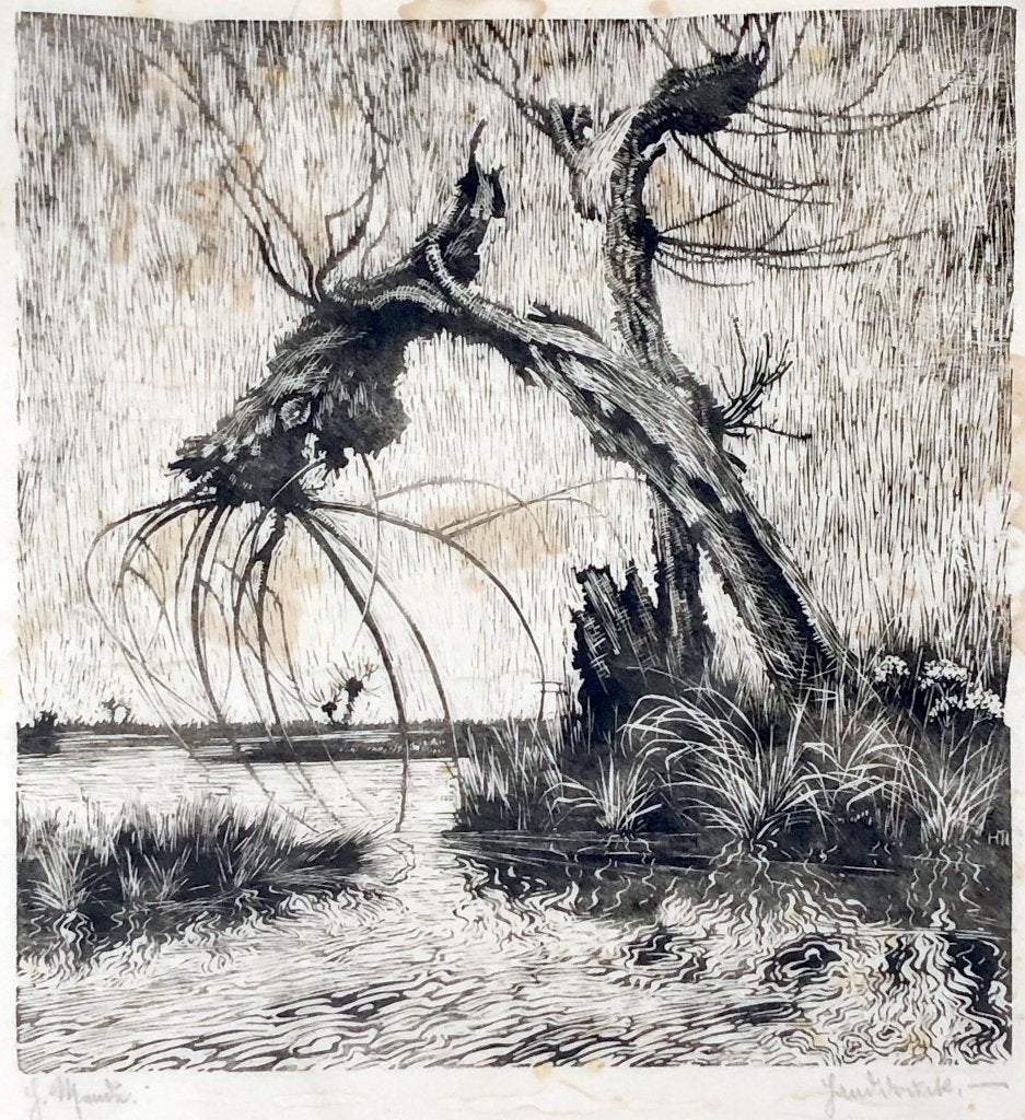 Mooie kunst v/h Grafiekkabinet Oude knotwilg aan het water, Verzenden