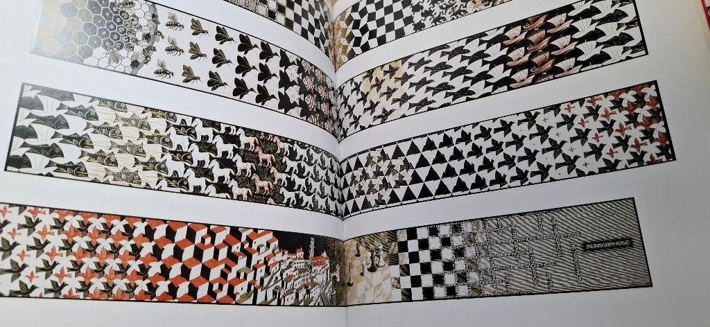 M.C. Escher Grafiek en tekeningen, Boeken, Ophalen of Verzenden, Gelezen, Overige onderwerpen