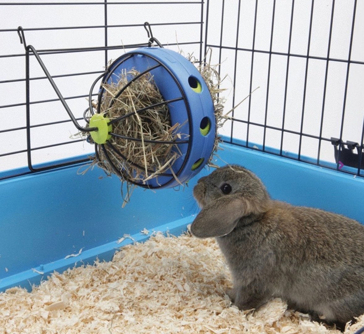 Savic Hooi- en Snackmolen Bunny Toy, Ophalen of Verzenden