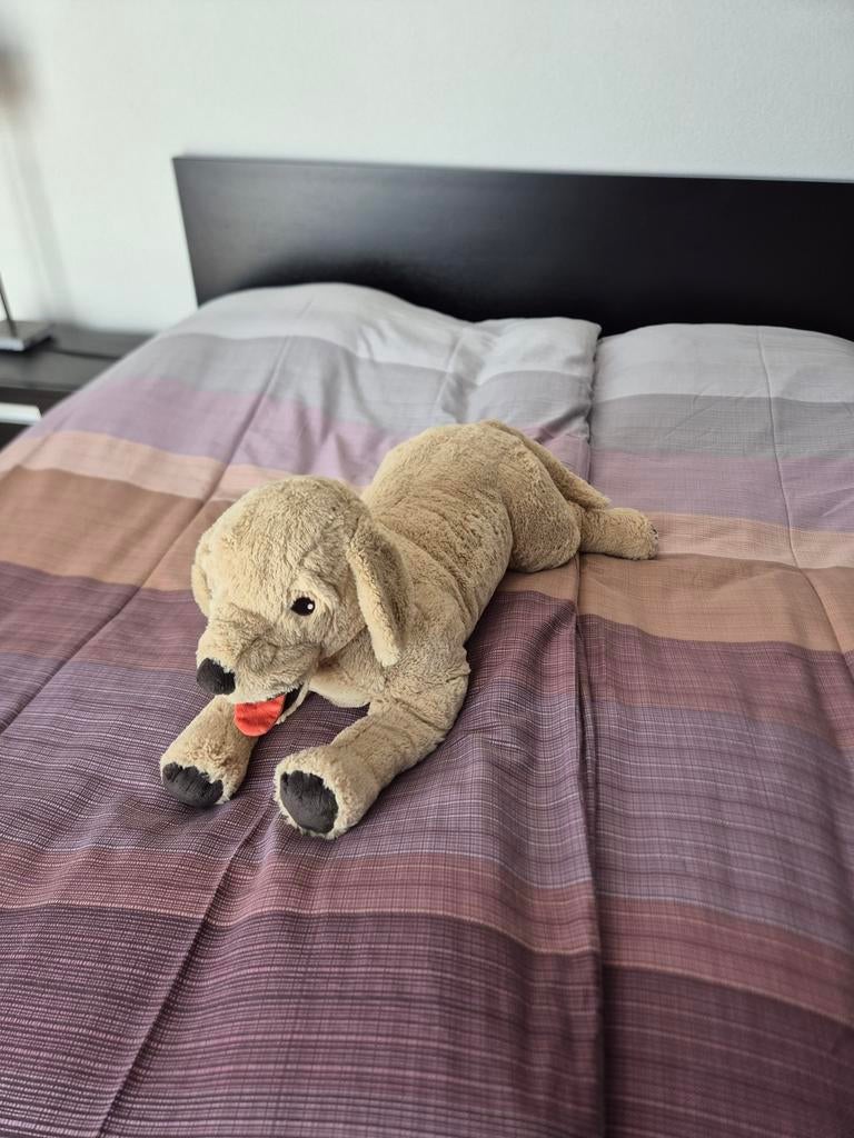 IKEA - Knuffel Hond Gosig Golden groot, Ophalen of Verzenden, Zo goed als nieuw, Hond