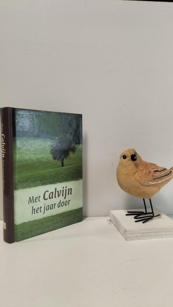 Calvijn, J.; Met Calvijn het jaar door, Ophalen of Verzenden, Gelezen, Christendom | Protestants