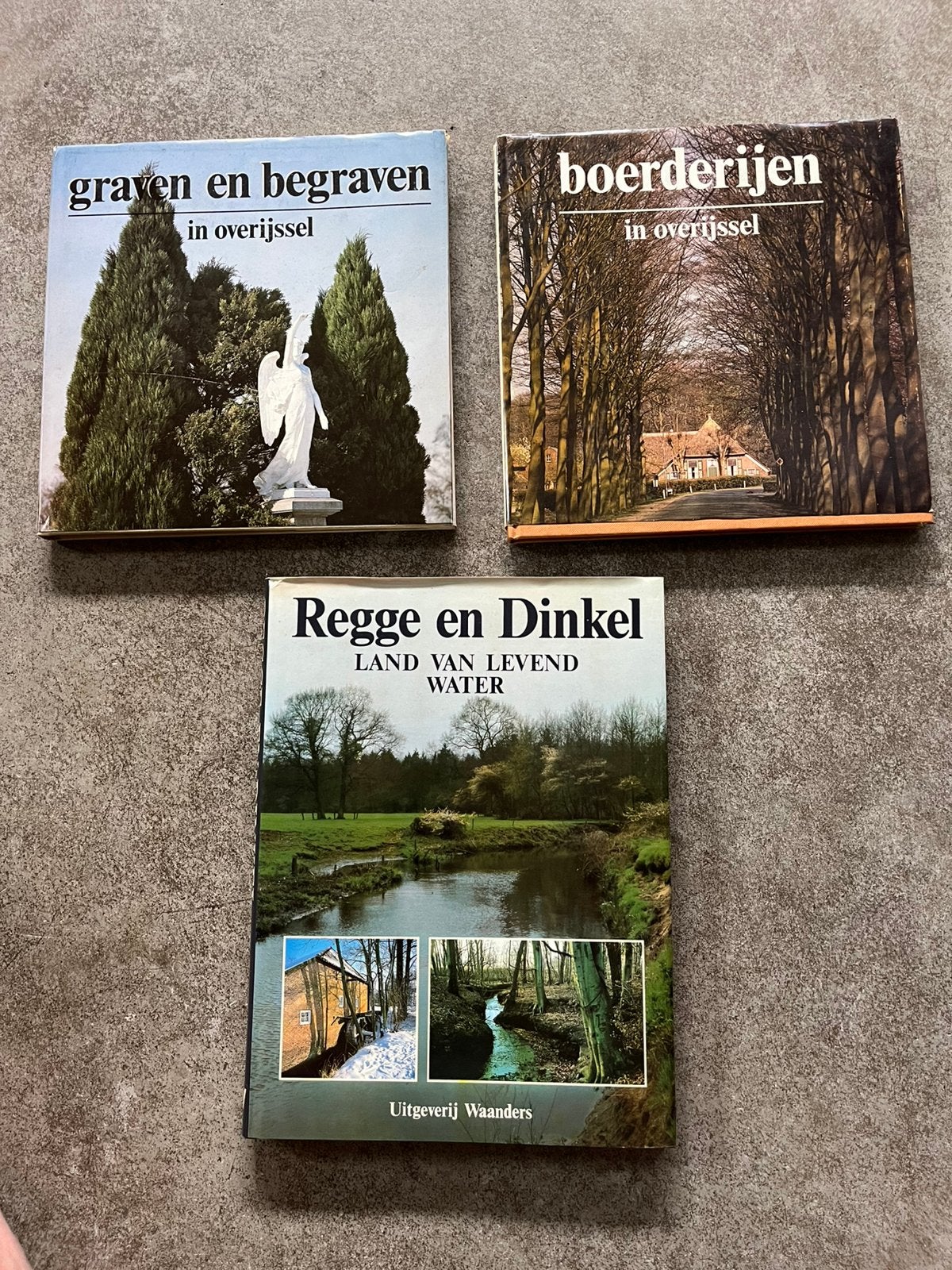 Geschoedenis over twente, Ophalen of Verzenden, Zo goed als nieuw, Overige onderwerpen