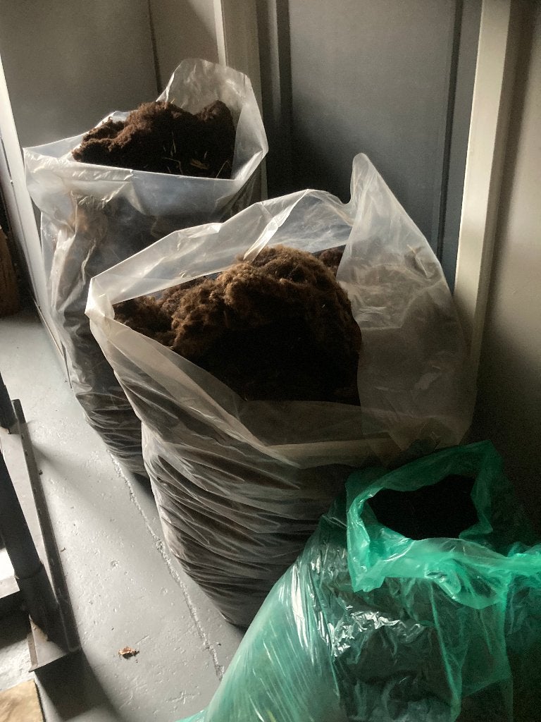 Schapenwol, onbehandeld, Ophalen, Nieuw