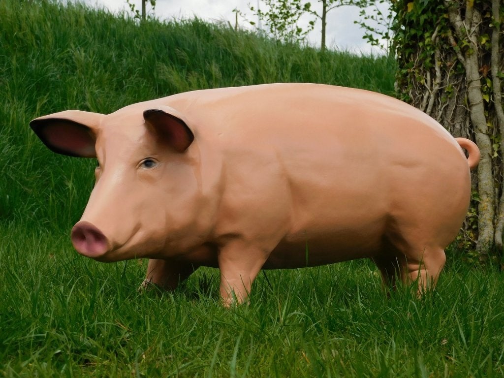 Beeld Varken XL - 97 cm - Polystone, Ophalen, Dierenbeeld, Kunststof, .
