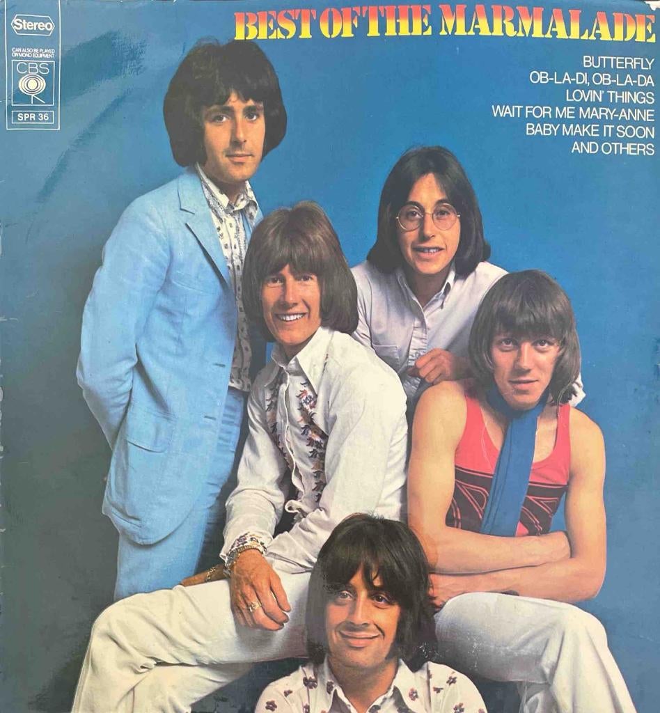 The Marmalade - The Best Of The Marmalade, Ophalen of Verzenden, Zo goed als nieuw, 12 inch, Poprock