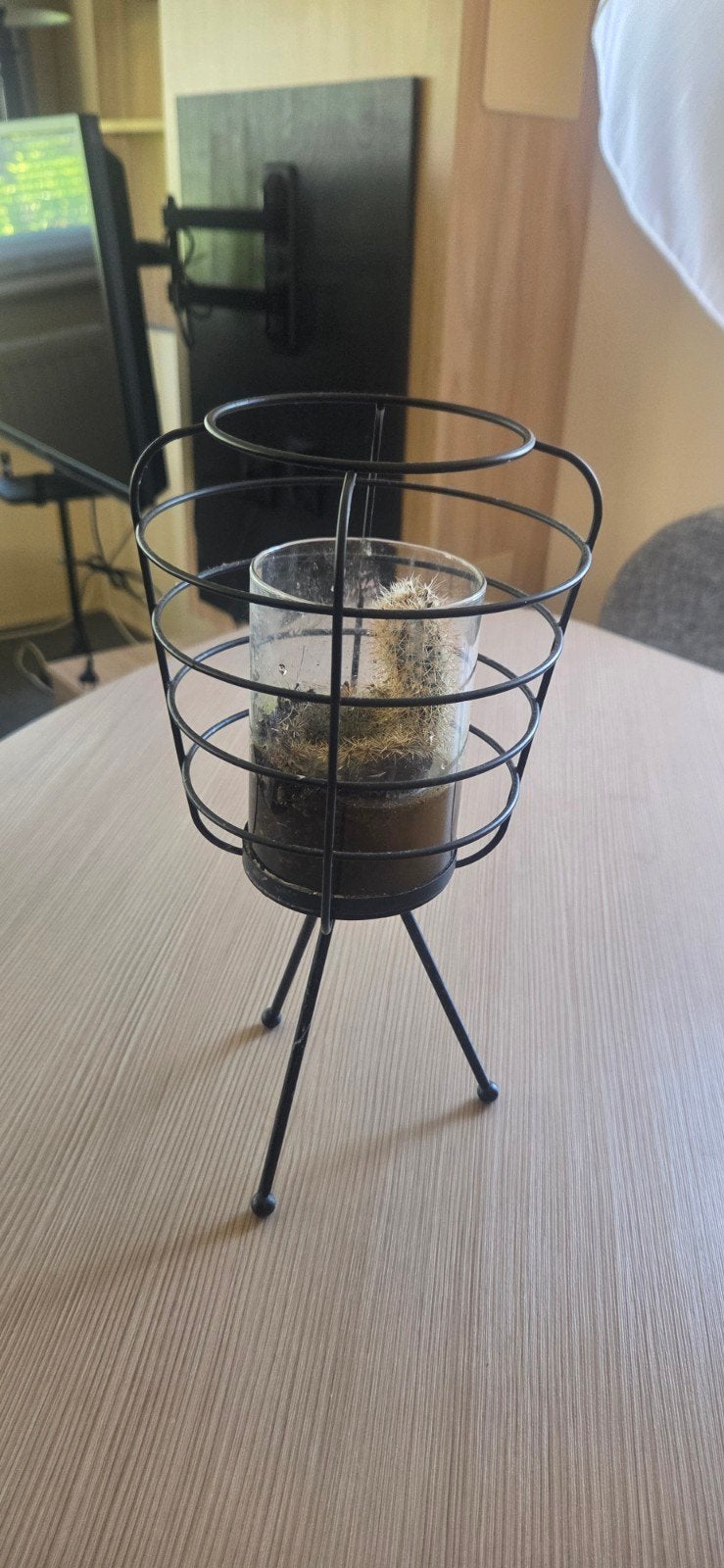 Metalen plantenstandaard met glazen potje en cactus, Ophalen of Verzenden, Metaal, Industrieel, Gebruikt