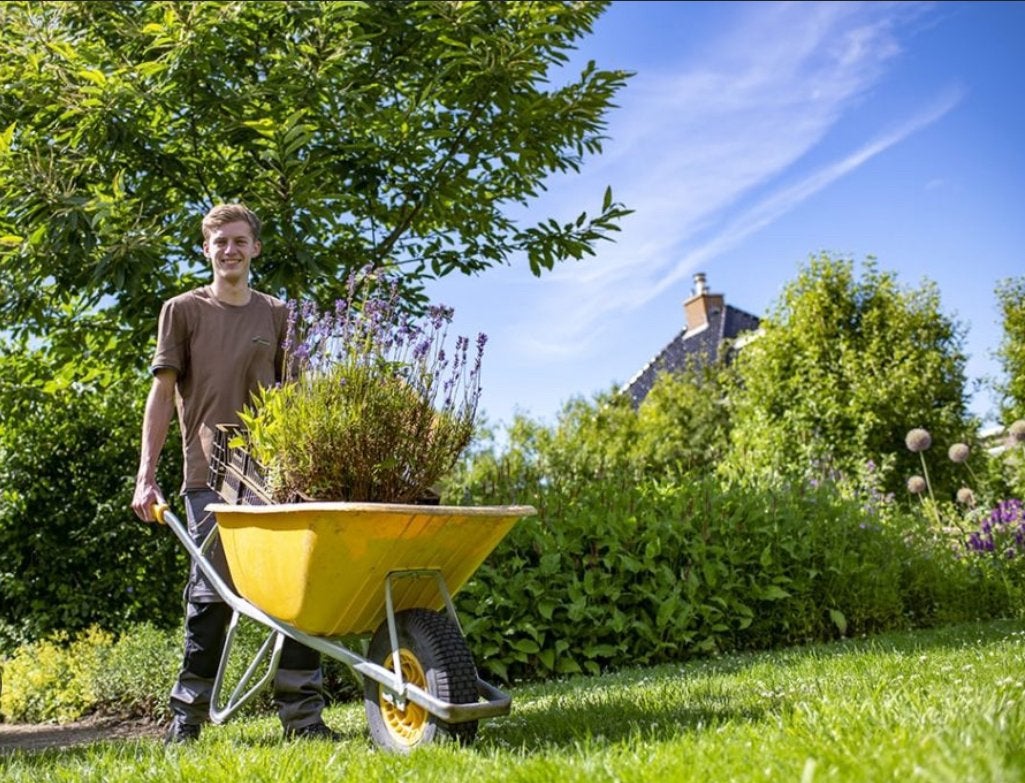 Tuinhulp gezocht?! Aangeboden Tuinhulp! Omgeving Veluwe!, Vacatures, Starter, Overige vormen, Overige uren, Overige niveaus