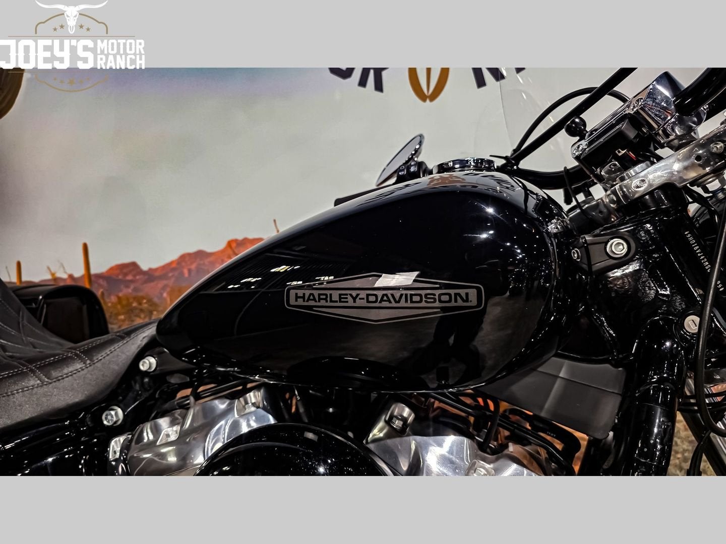 HARLEY-DAVIDSON SOFTAIL STANDARD FXST (bj 2021), Motoren, Motoren | Harley-Davidson, 2 cilinders, Bedrijf, Onbekend, Meer dan 35 kW