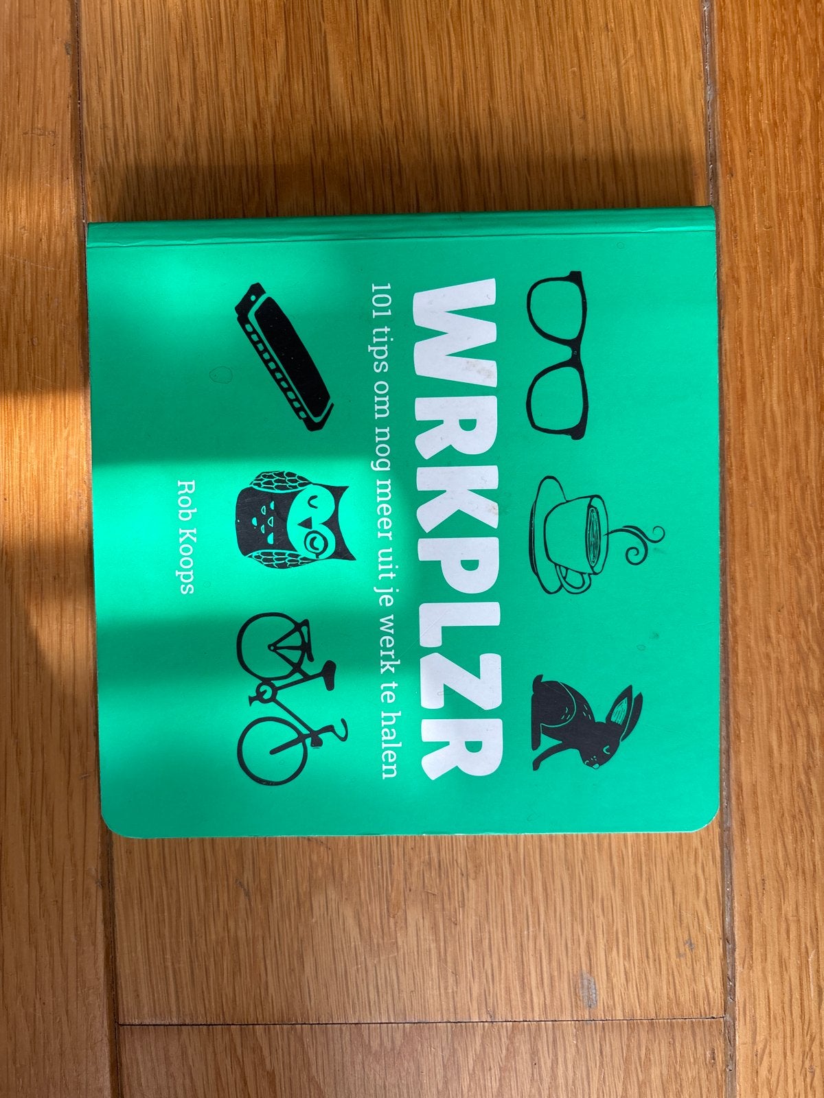 WRKPLZR: 101 tips om meer uit je werk te halen, Ophalen of Verzenden, Zo goed als nieuw, Nederland