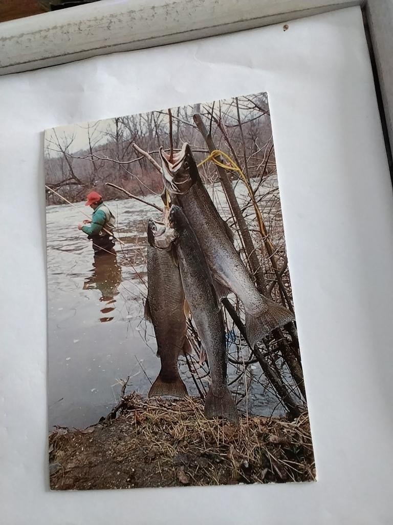 FISHING, Ophalen of Verzenden, Sterren en Beroemdheden