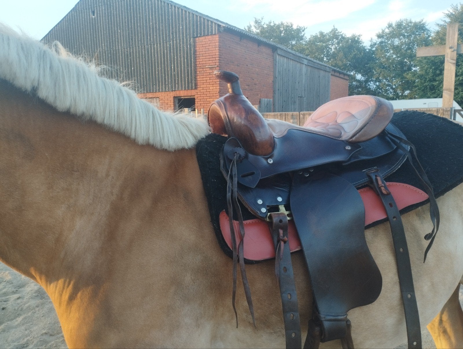Westernzadel bruin leer – breed & comfortabel, Gebruikt, Ophalen of Verzenden, Middeldiepe zit, Inclusief stijgbeugels