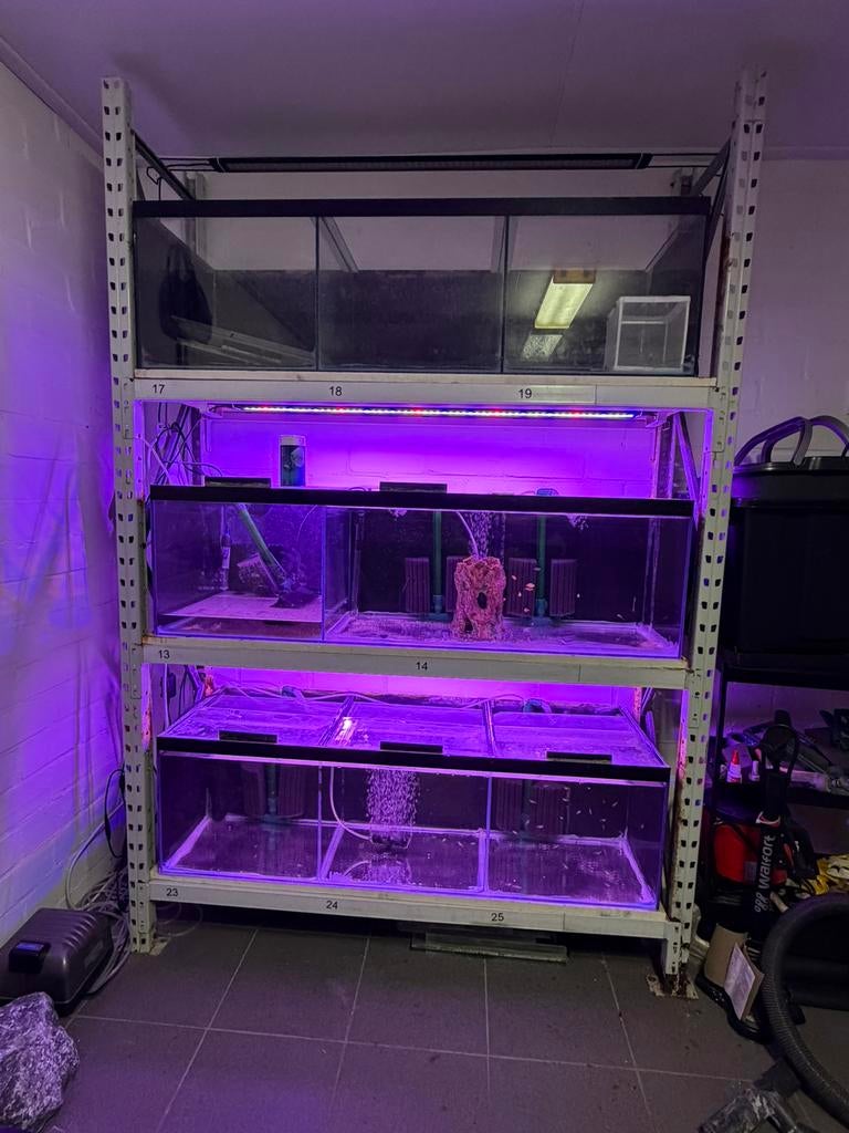Kweekstelling Aquarium 120 cm, Ophalen, Zo goed als nieuw, Leeg aquarium