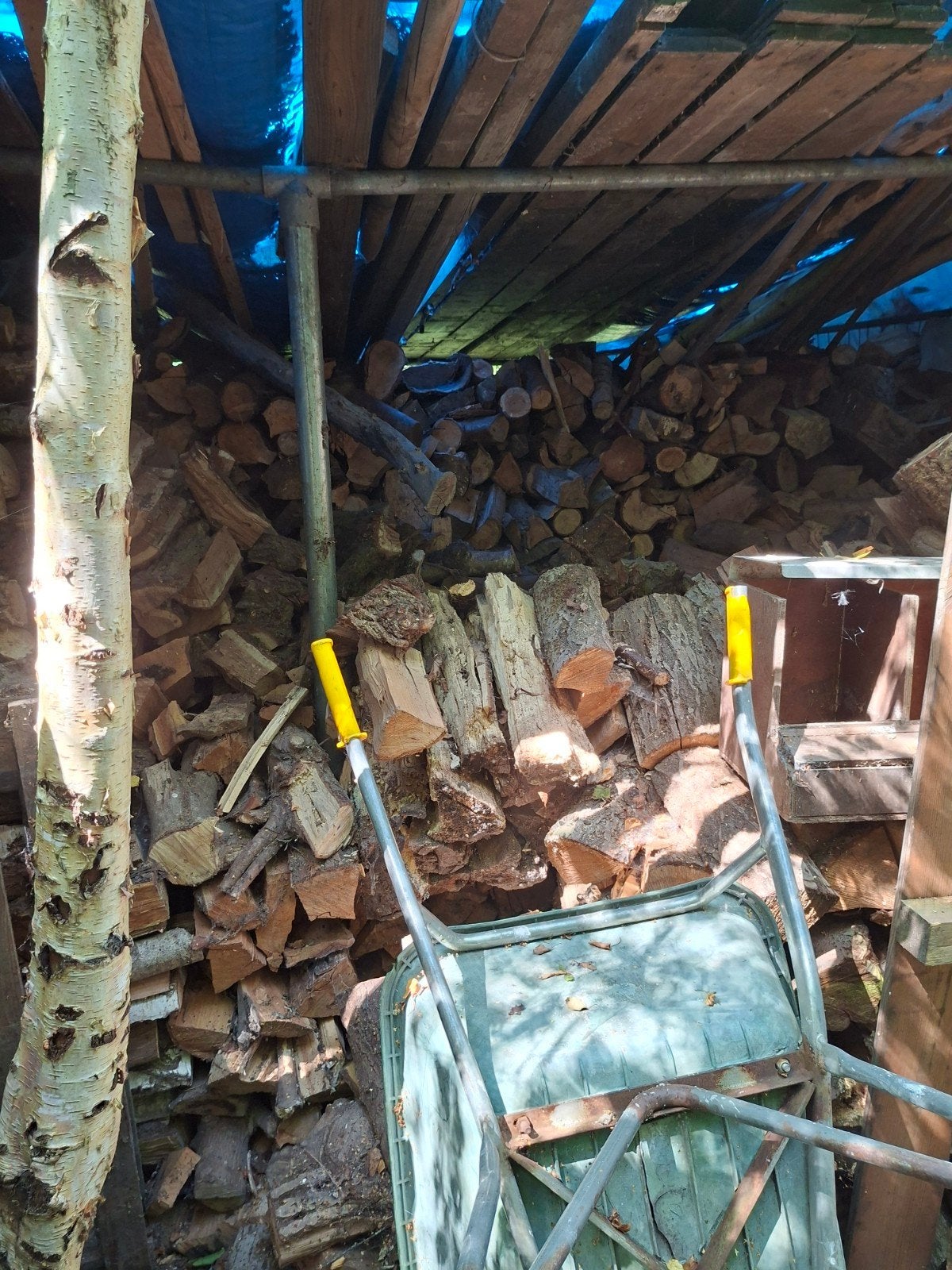 Gedroogd openhaardhout - Diverse houtsoorten, 3 tot 6 m³, Ophalen, Overige houtsoorten, Blokken