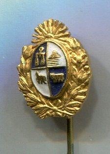 Uruguay Air Force email op koper speldje ( W_446a ), Verzenden, Nieuw, Merk, Speldje of Pin