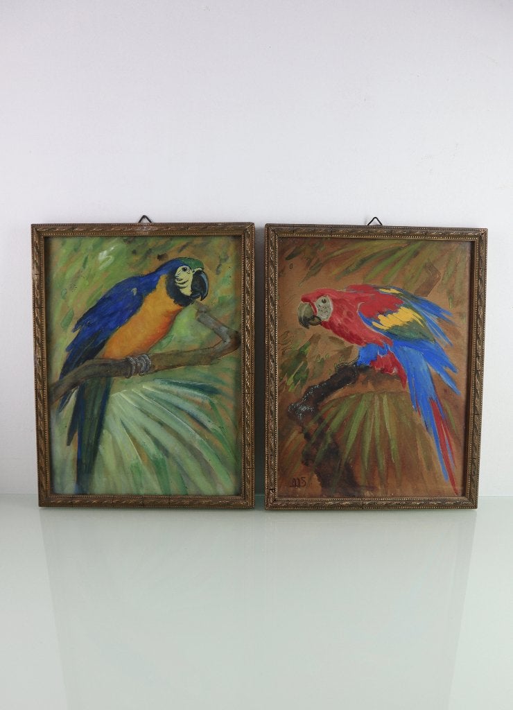 Twee gouaches papegaaien Alberta Meijer Smetz (1893-1953), Ophalen of Verzenden, Schilderij, Met ophangsysteem